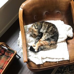 Meet your Posher, Emma